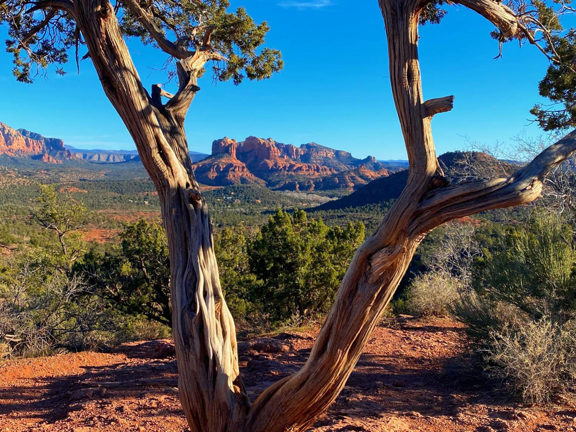 Sedona'S Paradise Found, Saltwater Pool And Hot Tub, Private Oasis! Экстерьер фото